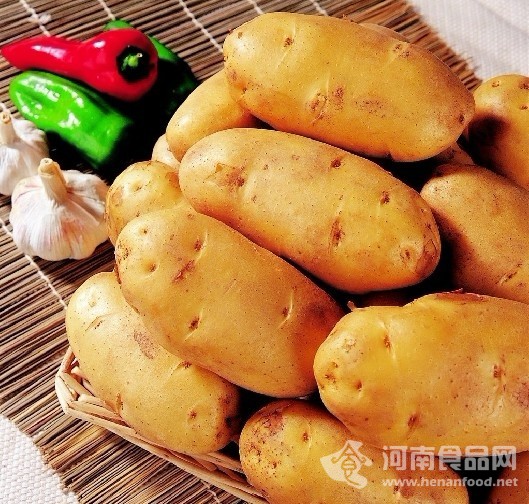 河南食品網 土豆