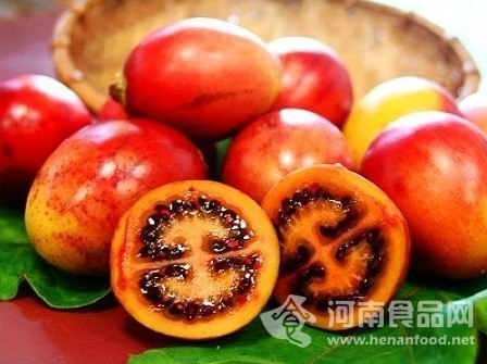 樹番茄