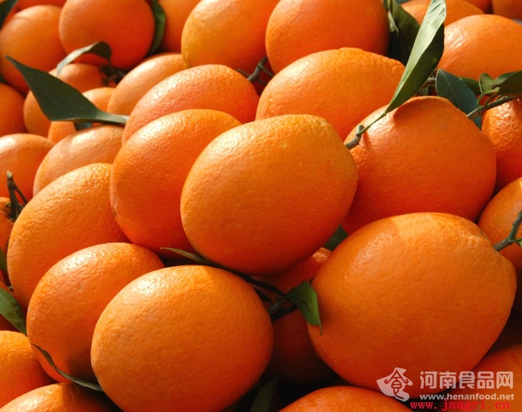 美味柑橘