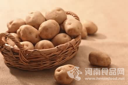 土豆
