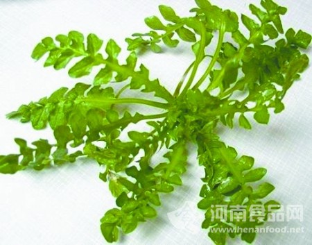 野菜