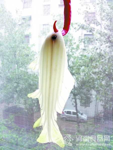 蔬菜