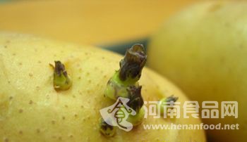 有毒蔬菜