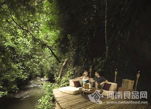 夏季生活：盤點全球6大奢華夢幻野餐地（組圖）