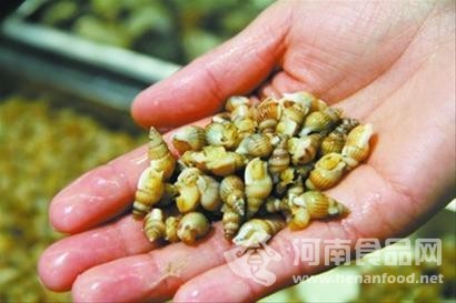 因致人中毒被禁售 開封夜市未見“織紋螺”(圖)