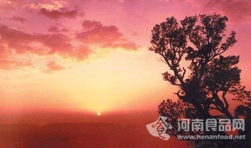 神農山賞月