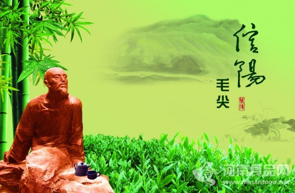 信陽毛尖