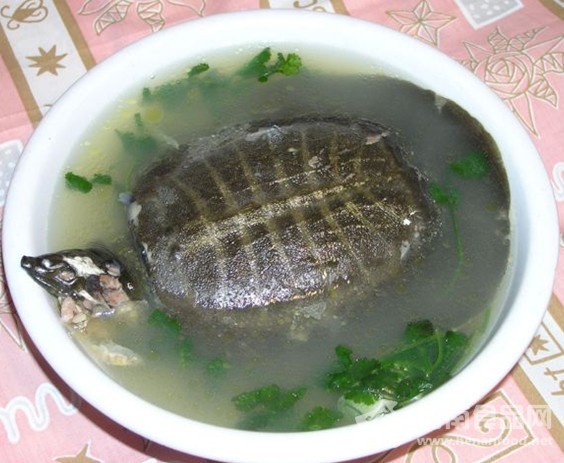 清燉甲魚湯