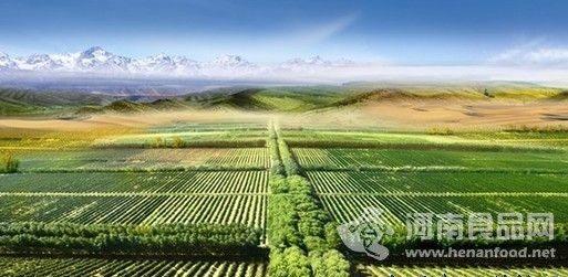 有機天堂——甘肅沙漠綠洲