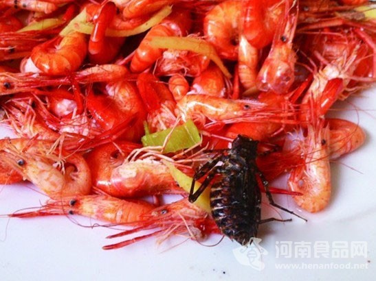 炸蝦吃出大黑蟲
