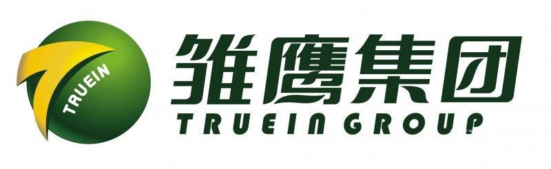 雛鷹