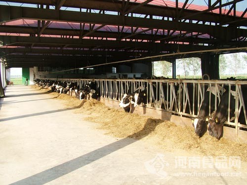 一流的養殖場