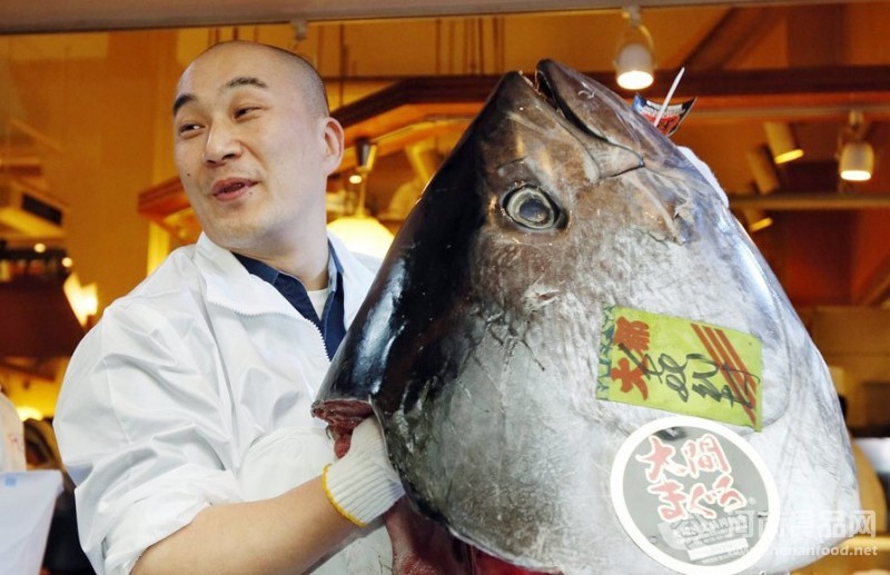 天價金槍魚