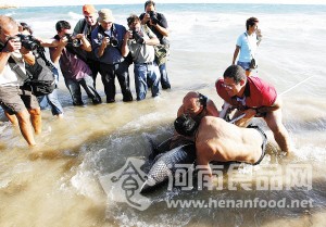 海上切鰭