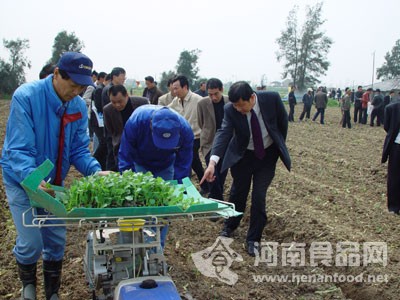 蔬菜生產全程機械化