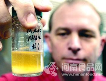 三聚氰胺引發腎衰竭與腸道細菌代謝有關