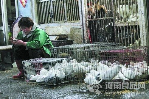 鄭州市場上，活禽銷量大減。