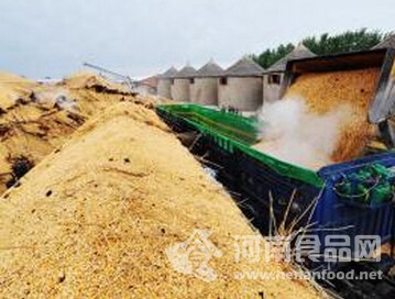 中儲糧回應“糧庫以陳頂新”：嚴肅查處