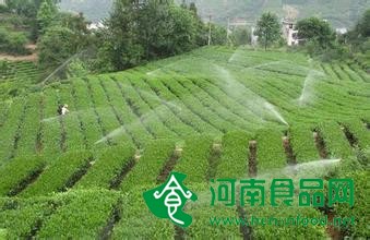 農業水價改革