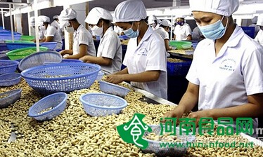 農產品出口得好不好 關系到烏紗帽