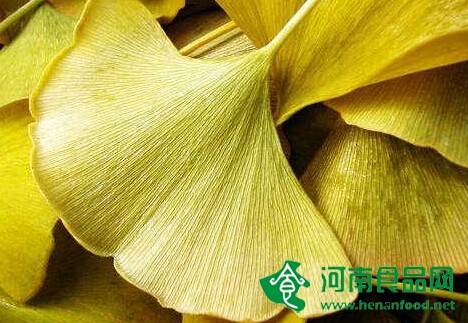 蕪湖綠葉承認購買非法銀杏葉提取物 稱已啟動召回