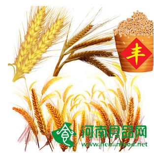 糧食豐收,對城里人“小明”有何意義？