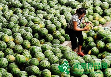 農產品連年遭遇“滯銷病” 農民之“急”誰來解？