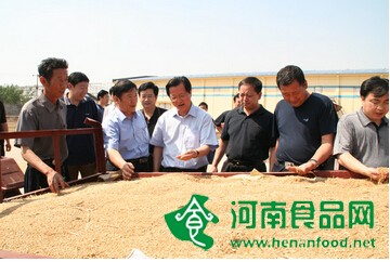 國家糧食局開展夏糧收購專項檢查