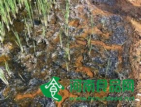 中國土壤污染加劇 專家疾呼多舉保護