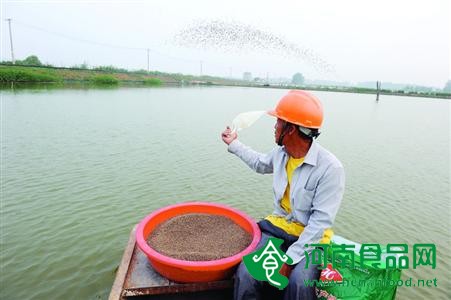 粉碎謠言：喜臟？有毒？嗑藥？這三大美味被誤讀