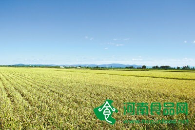 中國農業實現四個“50％跨越”
