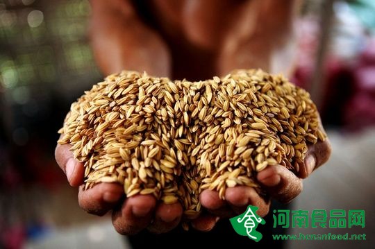 我國擬實行糧食質量安全追溯制度和召回制度