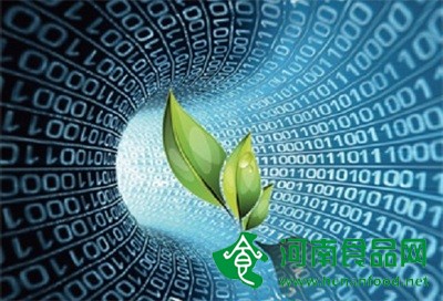 農業擁抱“互聯網+”還應深度介入