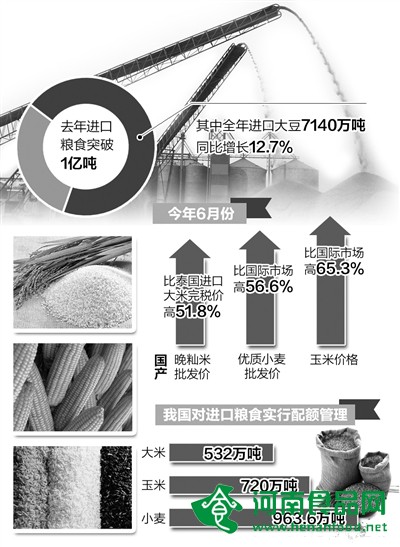 糧食“三量齊增”怪象從何而來：價格倒掛 競爭力低