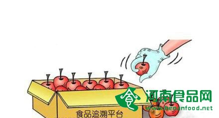 快速有效召回還需追溯助力