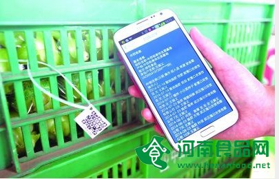 食品追溯切莫出師未捷身先死