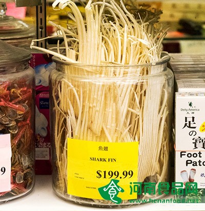 美媒稱紐約禁吃魚翅中餐館改賣海參：便宜還能壯陽