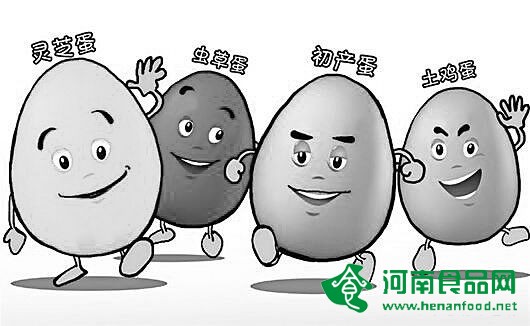 被營養捆綁的“概念蛋”到底值不值得買