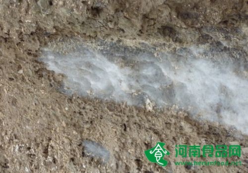 河南發現特大型鹽礦　巖鹽礦資源量達８２５億噸