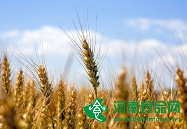 日中韓農業部長就加強糧食安全合作發表共同聲明