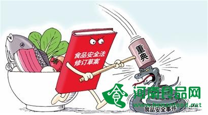 新舊食安法變動對比：乳品企業應注意哪些增改內容？