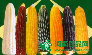 怎么煮玉米才好吃？不同玉米的區別